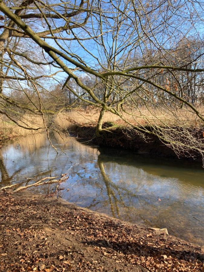 Ferienwohnung Am Waldrand Mit Sauna Biendorf Esterno foto